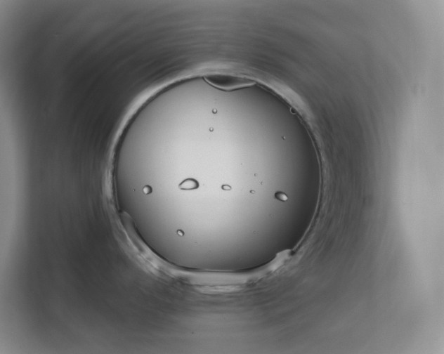 X0000112391296200908271332