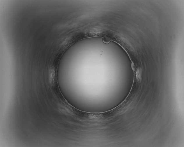 X0000112391299200908271331