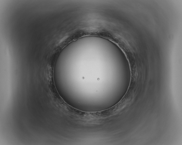 X0000112391301200908271332