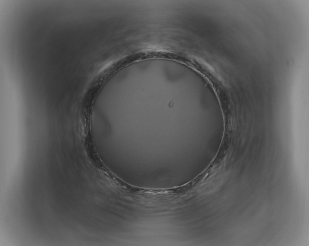 X0000112391303200908271332