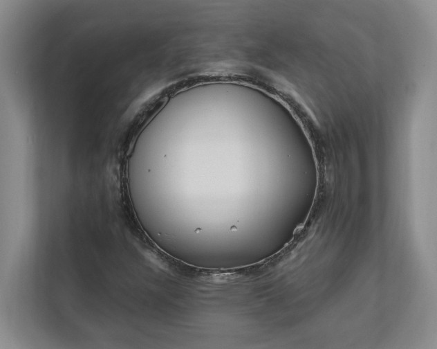 X0000112391304200908271332