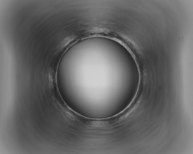 X0000112391305200908271332