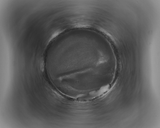 X0000112391306200908271332