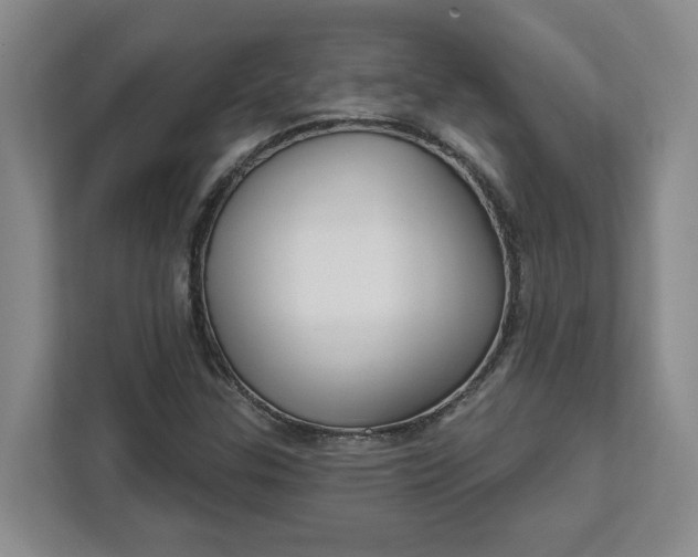 X0000112391307200908271332