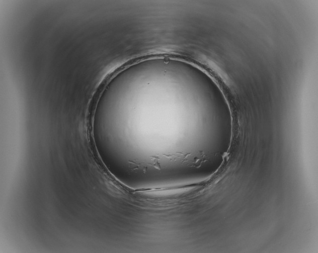 X0000112391308200908271332