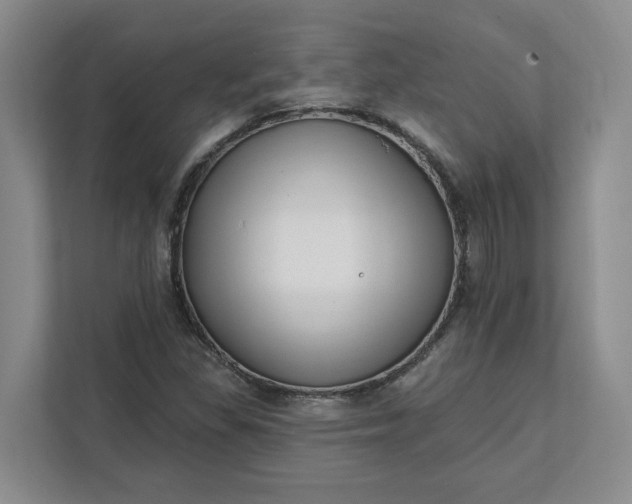 X0000112391309200908271332