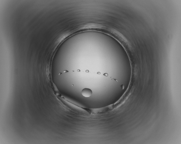 X0000112391321200908271332