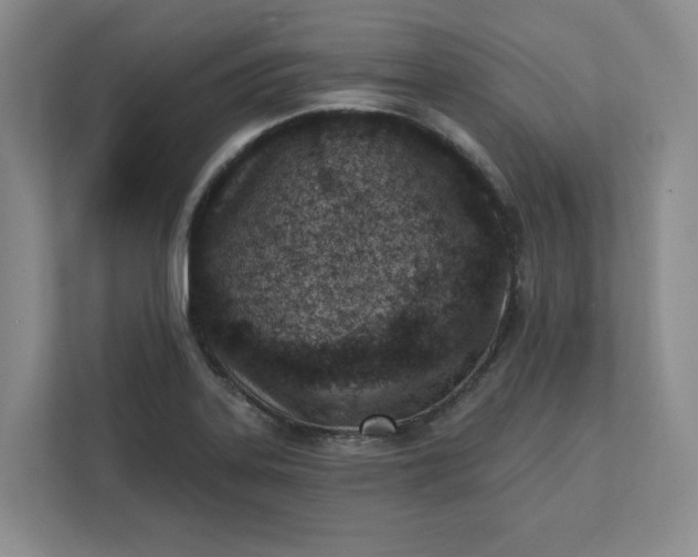 X0000112391323200908271332