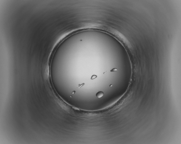 X0000112391324200908271332