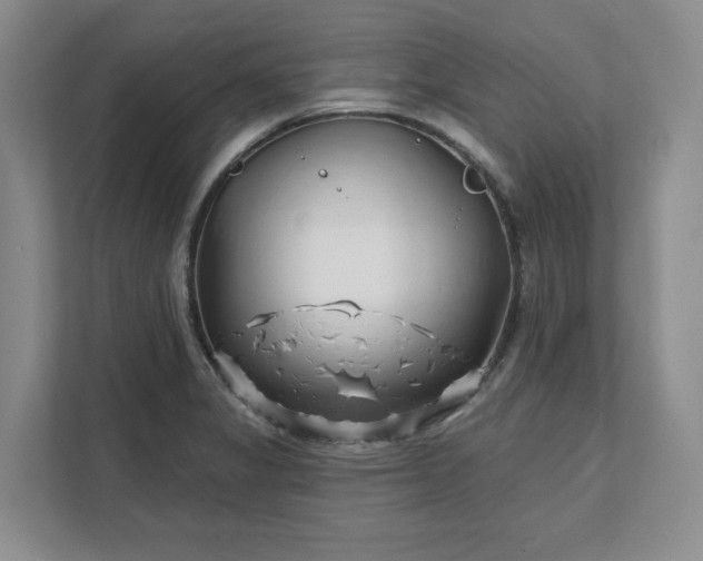 X0000112391325200908271332