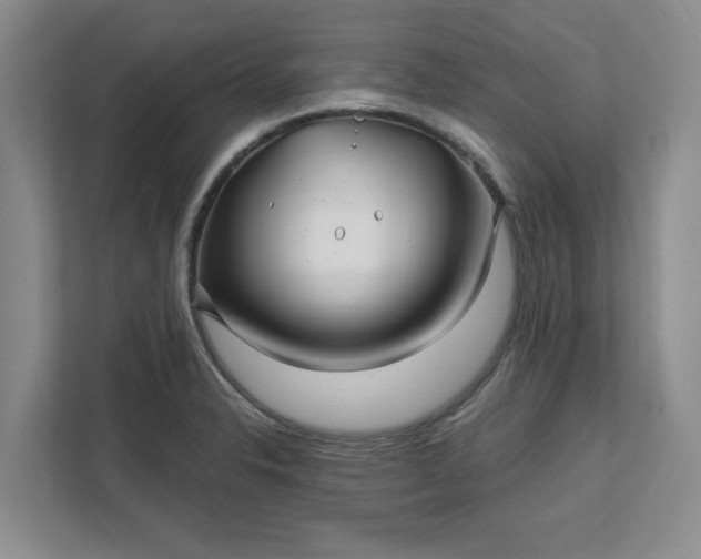 X0000112391326200908271332