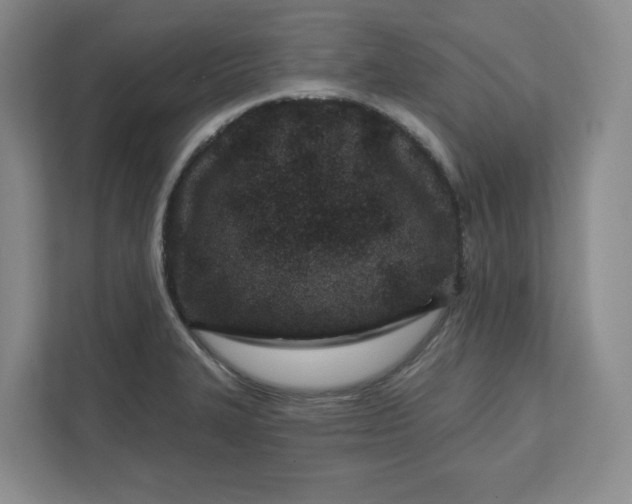 X0000112391327200908271332