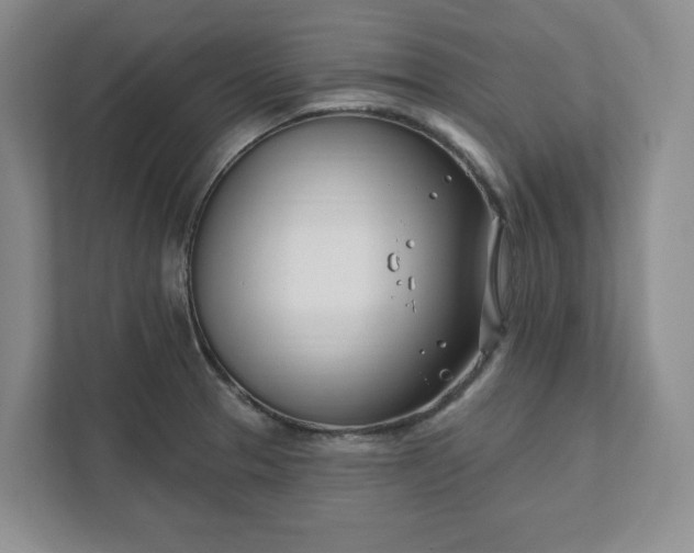 X0000112391329200908271332