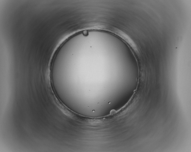 X0000112391332200908271332