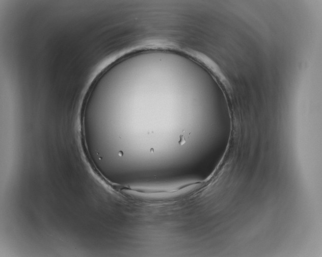 X0000112391335200908271332