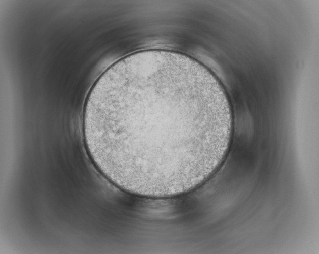 X0000112391338200908271332