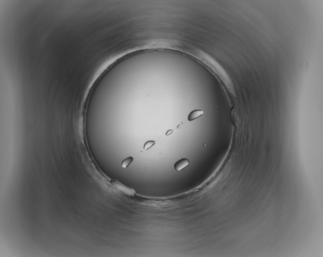 X0000112391340200908271332