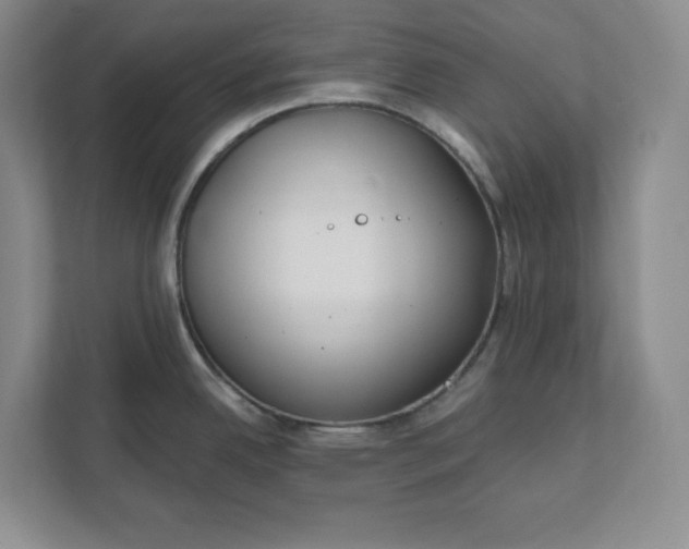 X0000112391342200908271332