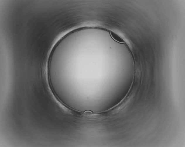 X0000112391343200908271332