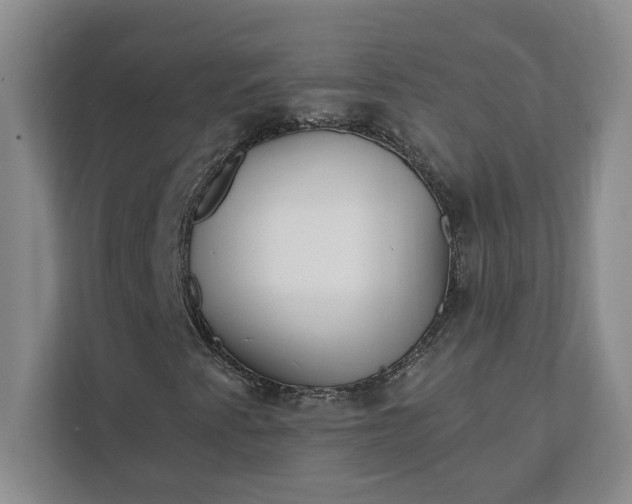 X0000112391345200908271331