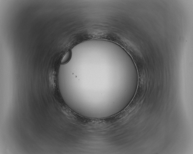 X0000112391346200908271331