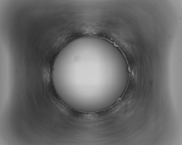 X0000112391348200908271331