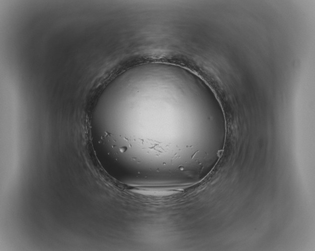 X0000112391349200908271331