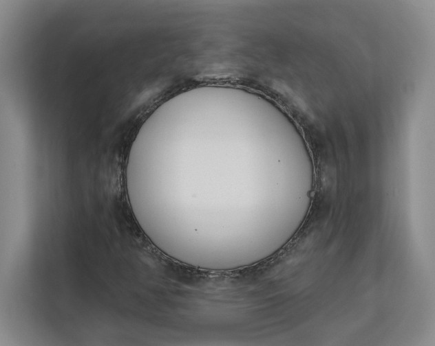 X0000112391350200908271331