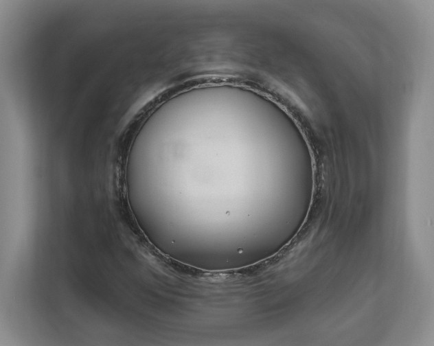 X0000112391352200908271331