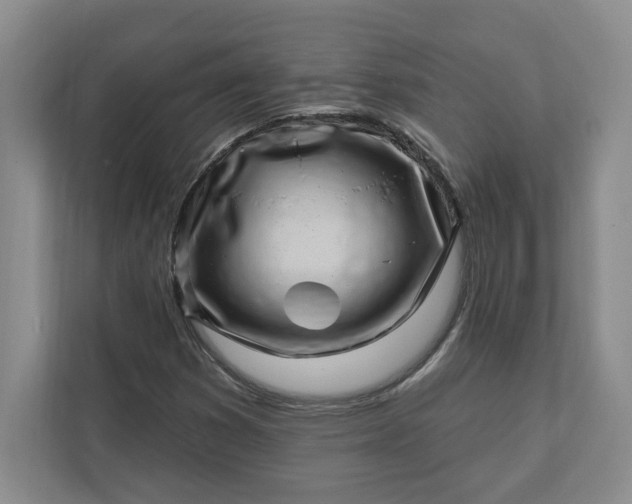 X0000112391353200908271331