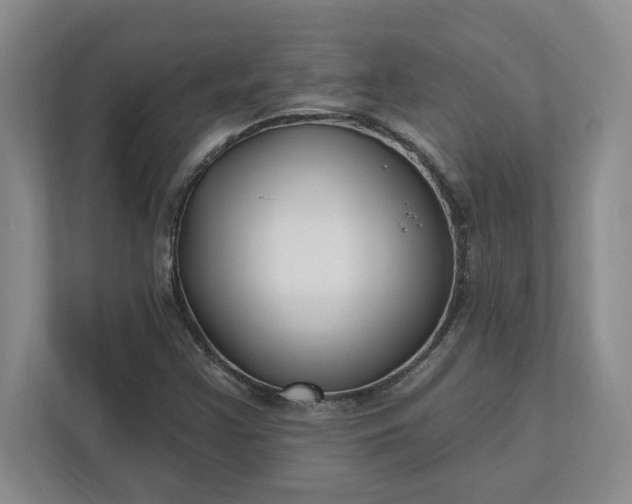 X0000112391355200908271331