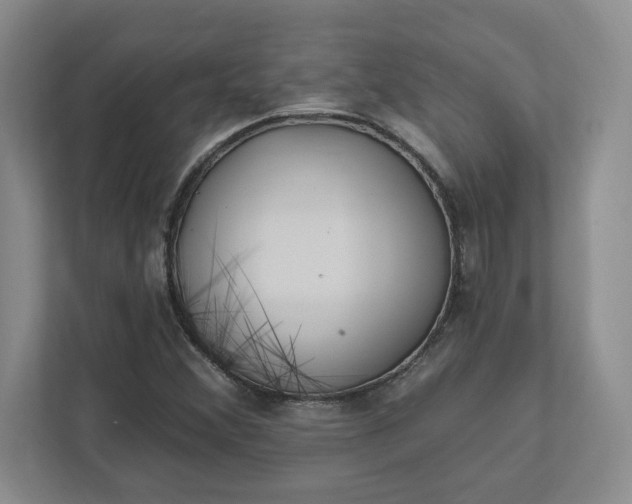 X0000112391356200908271331