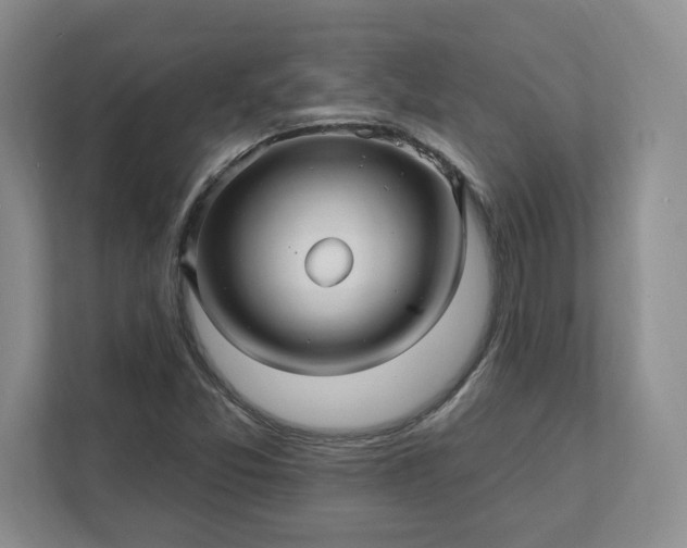 X0000112391357200908271331