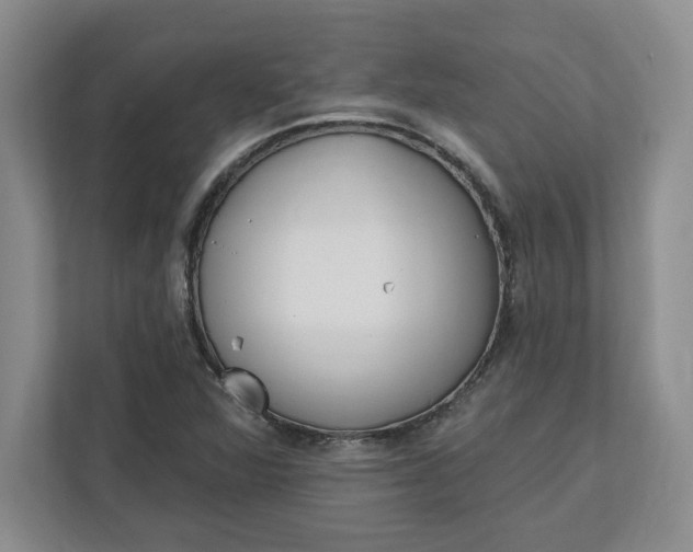 X0000112391360200908271331