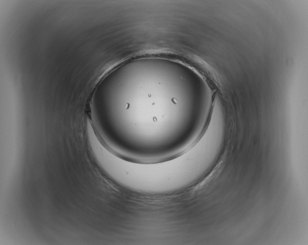 X0000112391361200908271331