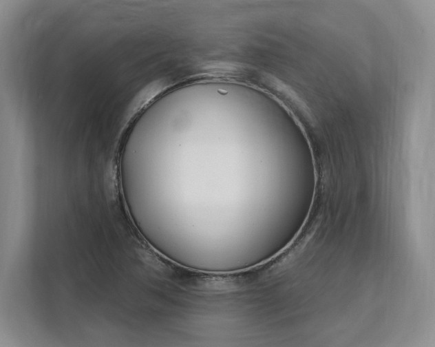 X0000112391362200908271331