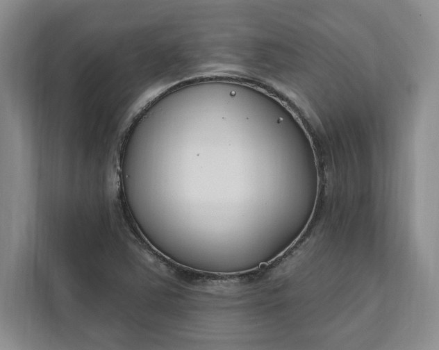 X0000112391363200908271331