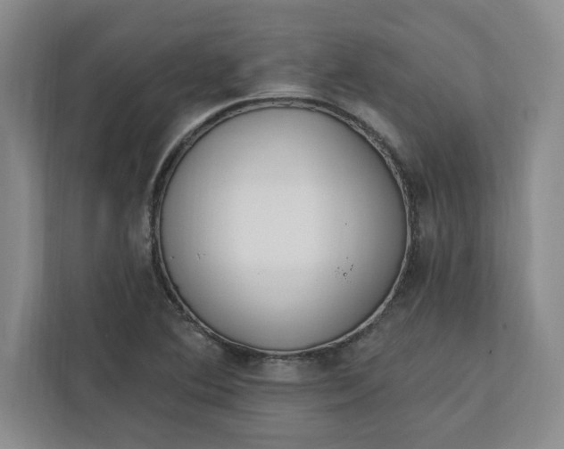 X0000112391364200908271331