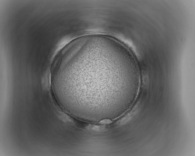 X0000112391365200908271331