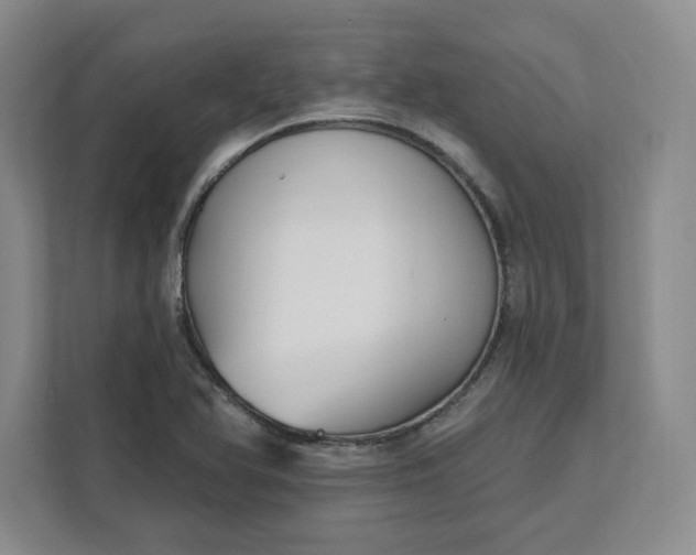 X0000112391366200908271331