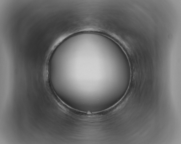 X0000112391367200908271331