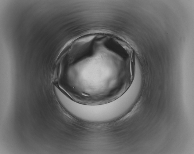 X0000112391369200908271331