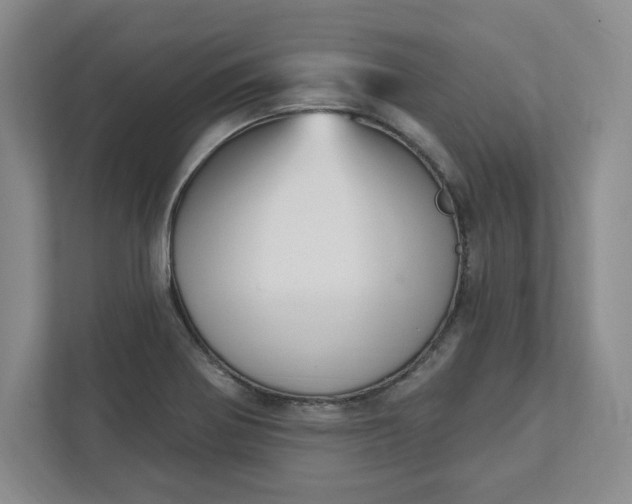 X0000112391370200908271331