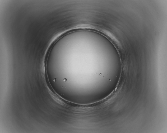 X0000112391372200908271331