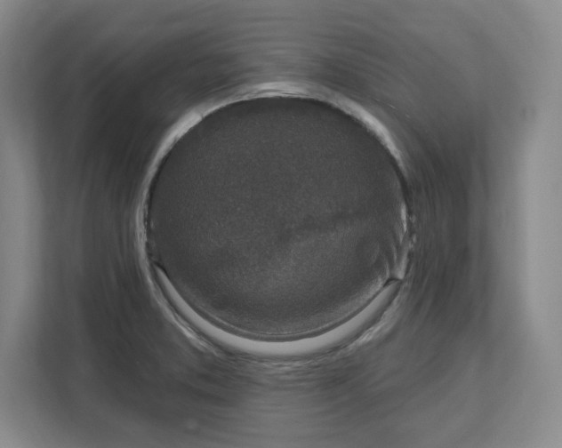 X0000112391373200908271331