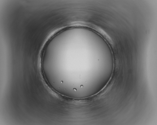 X0000112391376200908271331