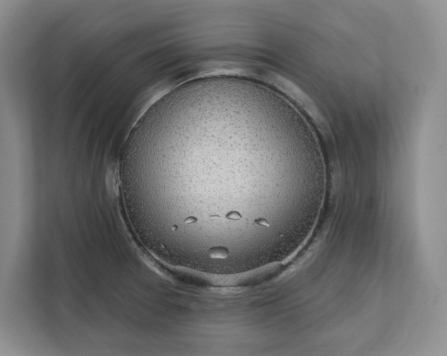 X0000112391377200908271331