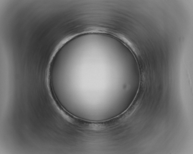 X0000112391379200908271331