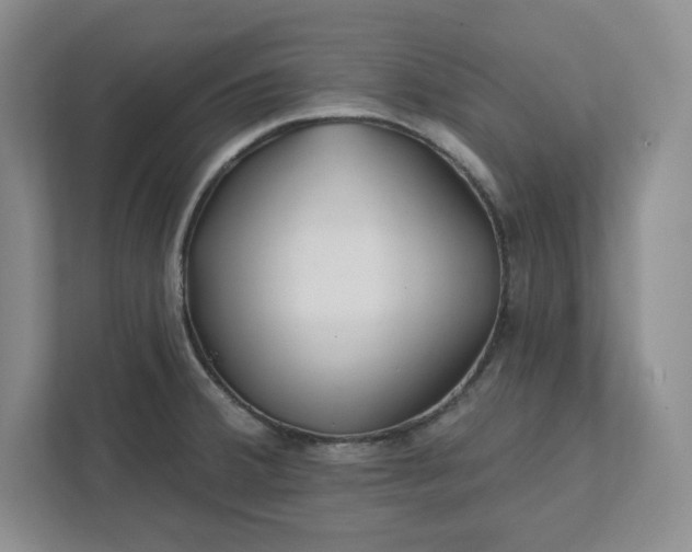 X0000112391380200908271331