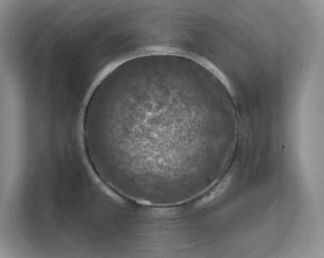 X0000112391381200908271331